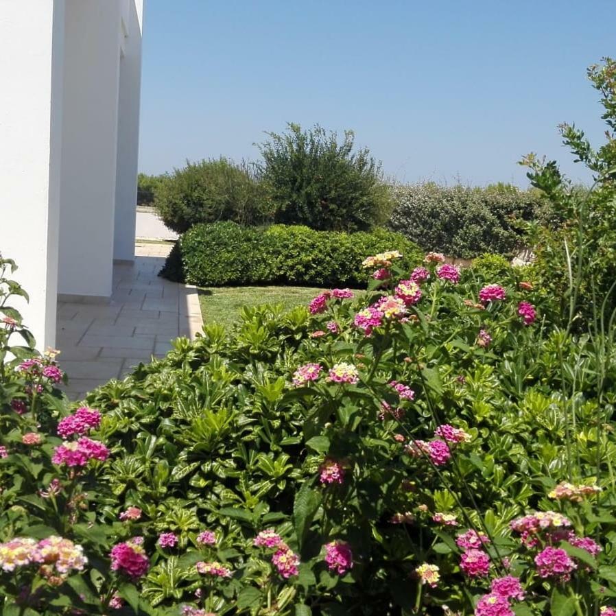 Villa Maria Carovigno Exterior foto
